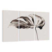 Obraz na płótnie 120x80 - Szapczący Liść - szkic, czarno biały