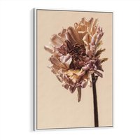 Obraz w ramie 80x120 - Delikatne piękno - suche, kwiaty - rama biała