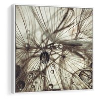 Obraz w ramie 80x80 - Lekkie dmuchawce - dmuchawce, krople - rama biała