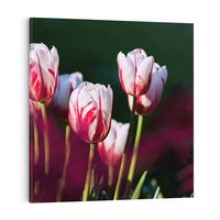 Obraz na płótnie 30x30 - Kwiatowy raj w naturze - kwiat, kwiaty