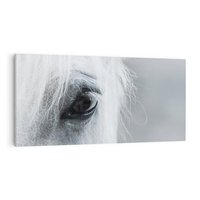 Obraz na płótnie 120x60 - Oko Mocy - czarno białe zdjęcie, zbliżenie makro na oko konia