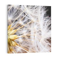 Obraz na płótnie 80x80 - Dmuchawiec: lekkość natury - dmuchawiec, natura