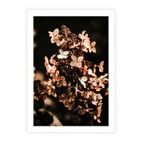 Plakat bez ramy 30x40 - Hortensja - Suchy Kwiat w Sztuce - hortensja, suchy kwiat