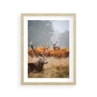 Plakat w ramie 30x40 - Malownicza Harmonia - jelenie, jesień - rama drewno