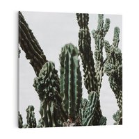 Obraz na płótnie 70x70 - Boho oaza wśród kaktusów - kaktusy, pustynia