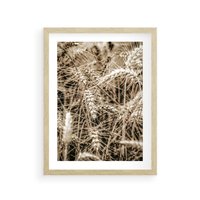 Plakat w ramie 50x70 - Zbliżenie na Kłosy Zboża - zboża, kłosy zboża - rama drewno