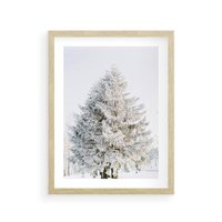 Plakat w ramie 50x70 - Zimowa Poezja w Ośnieżonym Drzewie - ośnieżone drzewo, zima - rama drewno