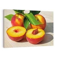 Obraz na płótnie 120x80 - Brzoskwinie Delikatny Urok - brzoskwinie, owoce