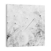 Obraz na płótnie 60x60 - Zdmuchnięty Puch - dmuchawce, delikatne