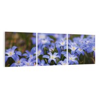 Obraz na płótnie 120x40 - Kwiatowy raj w naturze - kwiat, kwiaty