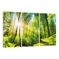 Obraz na płótnie 120x80 - Magia Leśnej Przyrody - las, drzewa