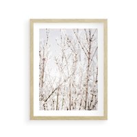 Plakat w ramie 50x70 - Szron na Gałęziach - ośnieżone gałązki, szron na gałęziach - rama drewno