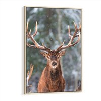 Obraz w ramie 50x70 - Monarcha Zimowej Dziczy - jeleń, zima - rama drewno
