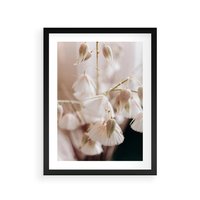 Plakat w ramie 30x40 - Suszona Delikatność - suszone kwiaty, rośliny - rama czarna