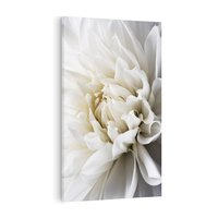 Obraz na płótnie 50x70 - Białe Kwiaty Delikatności - białe, kwiaty