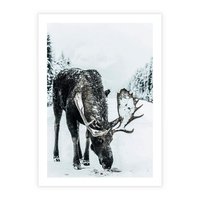 Plakat bez ramy 30x40 - Zimowy Portret Łosia - łoś w zimowej scenerii