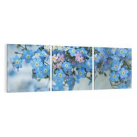 Obraz na płótnie 90x30 - Kwitnące piękno - kwiaty, wiosna