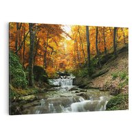 Obraz na płótnie 70x50 - Urok lasu: drzewa i strumyk w harmonii - las, drzewa