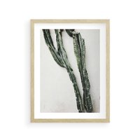 Plakat w ramie 50x70 - Zielona Roślina z Liśćmi - zielona roślina, liście - rama drewno