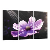 Obraz na płótnie 120x80 - Kwiatowy taniec natury - kwiat, kwiaty