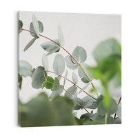 Obraz na płótnie 30x30 - Liście eukaliptusa w naturze - eukaliptus, liście