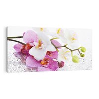 Obraz na płótnie 140x70 - Magia kwiatów - kwiaty