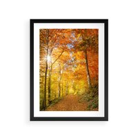 Plakat w ramie 50x70 - Złote barwy jesiennego lasu - las, jesień - rama czarna