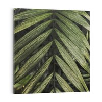 Obraz na płótnie 30x30 - W Liściach Ukryte - zdjęcie, fotografia