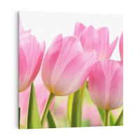 Obraz na płótnie 70x70 - Kwiaty w pełnym rozkwicie - kwiat, Kwiaty