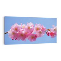 Obraz na płótnie 120x60 - Kwiatowy taniec kolorów - kwiat, kwiaty