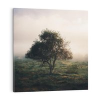 Obraz na płótnie 80x80 - Zamglona Prostota - artystyczna fotografia, samotne drzewo na zamglonej łące