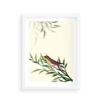 Plakat w ramie 40x50 - Roślinne Nastroje - japońska sztuka, ptak - rama biała