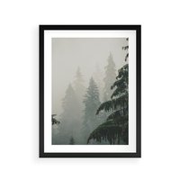 Plakat w ramie 50x70 - Mglista przemiana lasu - las, mgła - rama czarna