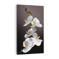 Obraz na płótnie 70x100 - SPA: harmonia z kwiatami - spa, kwiaty