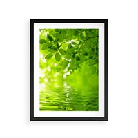 Plakat w ramie 40x50 - Liście w Wodzie - liście, woda - rama czarna