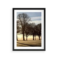 Plakat w ramie 30x40 - Siła natury - drzewa, pole - rama czarna