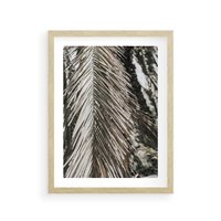 Plakat w ramie 30x40 - Egzotyczne Gałęzie - suche gałęzie, liście palmy - rama drewno