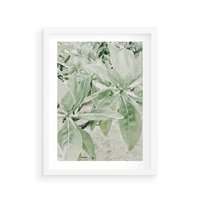 Plakat w ramie 50x70 - Jasnozielone Liście w Kompozycji - liście, jasna zieleń - rama biała