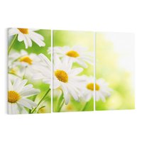 Obraz na płótnie 120x80 - Stokrotka: delikatność natury - stokrotka, kwiat