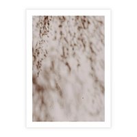 Plakat bez ramy 21x30 - Cień Gałęzi - beżowa ściana, cień gałęzi