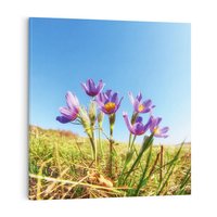 Obraz na płótnie 30x30 - Kwiatowa siła łąki - kwiaty, łąka