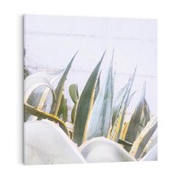 Obraz na płótnie 30x30 - Sukulentowe liście - liście, sukulenty