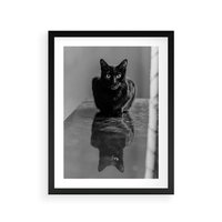 Plakat w ramie 50x70 - Kocie Oczy - kot, czarno białe zdjęcie - rama czarna