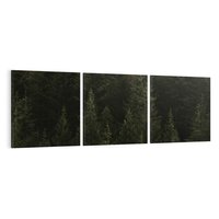 Obraz na płótnie 90x30 - Ciemny las iglasty - las, iglasty