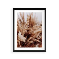 Plakat w ramie 40x50 - Sztuka Suszonych Traw - trawa pampas, suszone trawy - rama czarna