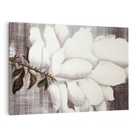 Obraz na płótnie 70x50 - Tekstura Kwiatu - białe kwiaty, duży kwiat
