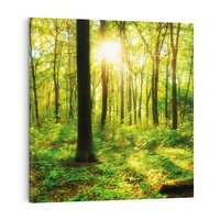 Obraz na płótnie 60x60 - Mistyfikujący las - las, drzewa