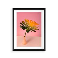 Plakat w ramie 50x70 - Egzotyczna monstera - monstera, liść - rama czarna