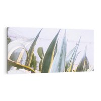 Obraz na płótnie 120x60 - Sukulentowe liście - liście, sukulenty