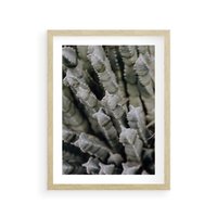 Plakat w ramie 40x50 - Oaza Natury - sukulenty, kaktusy - rama drewno